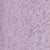 Cover FX Shimmer Veil
