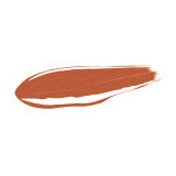 YSL The Inks Vinyl Cream Limited Edition