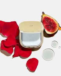 Dolce & Gabbana Fig Skin Perfector Shine Control Blurring Powder