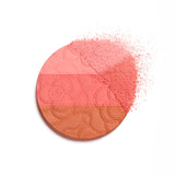 Chanel Camelia Futura Powder Brush Trio