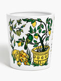 Diptyque Citronelle Scented Candle For Use Indoor & Outdoor With Giostrina Carrousel
