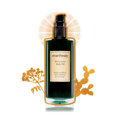 Evanhealy Blue Cactus Body Oil