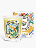 Diptyque Citronelle Scented Candle