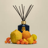 Trudon REGGIO Home Fragrance Diffuser