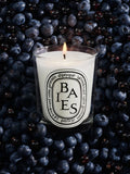 Diptyque Baies Scented Candle