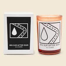 D.S. & Durga Big Sur After Rain Perfumed Candle